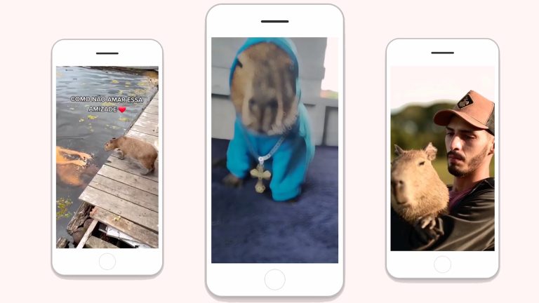 A collage of screenshots from TikTok showing a capybara in Brazil.