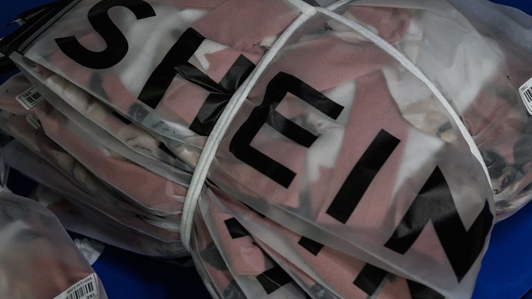 A recent viral meme on TikTok and Facebook feeds across Brazil and Mexico shows Shein-branded plastic bags being repurposed to carry unexpected items: