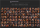A photo collage showing a grid of 98 square images of people under the headline 